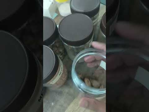 Haritaki Harad Powder