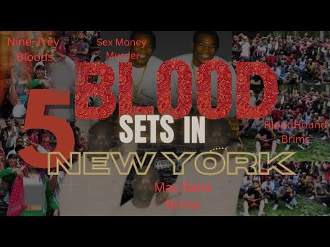 5 Blood Sets In New York |  (New York Gangs)