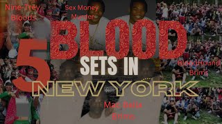 5 Blood Sets In New York |  (New York Gangs)