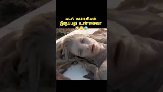 Download lagu கடல் கன்னிகள் இருப்பது உண்மையா 🤯😳😱 Is Mermaid Real? #amazingfacts #shorts #trending mp3 Download lagu கடல் கன்னிகள் இருப்பது உண்மையா 🤯😳😱 Is Mermaid Real? #amazingfacts #shorts #trending mp3