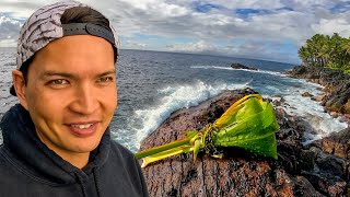 Harvesting Limu and Kumu - Catch n Cook