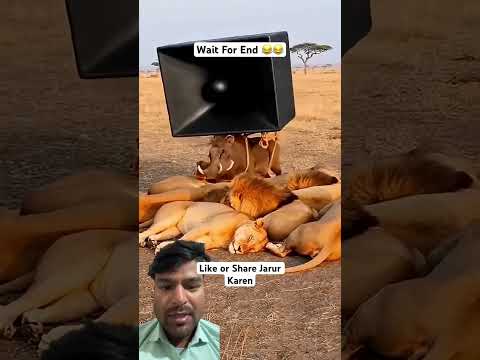 Smart Appliances! New Gadgets, Versatile Utensils, Tool Items #shorts#gadgets