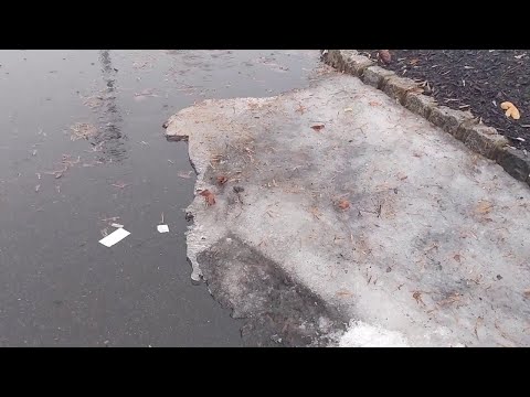 NJ Ice & Rain