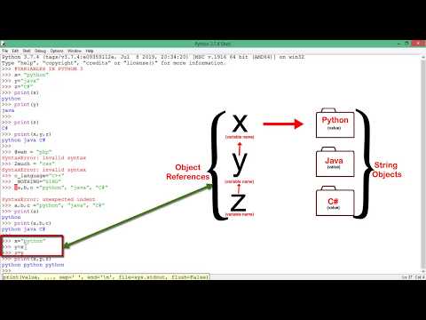 5 Python 3 Tutorial Single And Multiple Variables Assignment