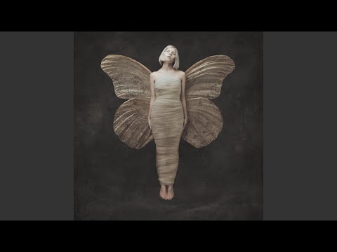 Video thumbnail for Mr Tambourine Man
