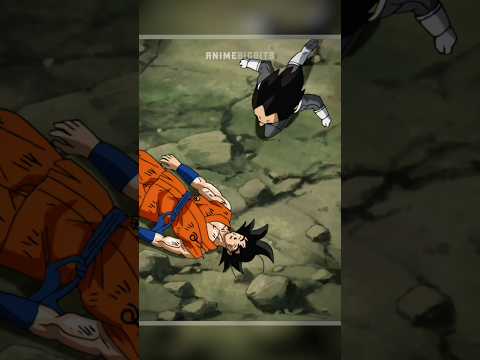 Vegeta Will Always Protect Goku From Their Enemies!