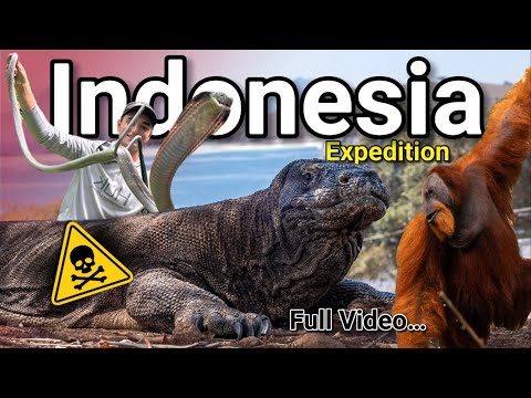 Exploring INDONESIA for VENOMOUS and ENDANGERED Animals!