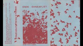 Ende Shneafliet ‎– Ant People (Trumpett, Netherlands 1981)