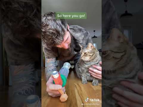 Cat with asthma takes inhaler!