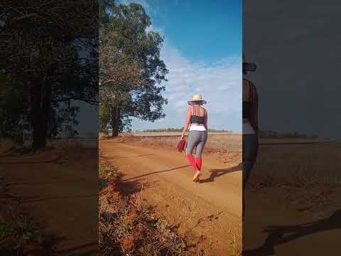 Caminhada sertaneja Comunidade Santa Rita município Vianópolis Goiás Brasil