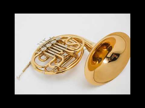 Halvor Haug: Concerto for Horn and Orchestra (1978)