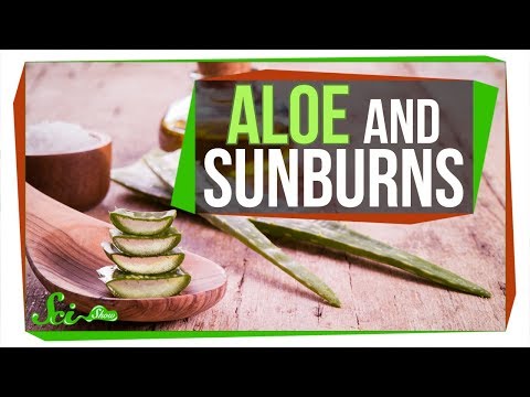 Does aloe really treat a sunburn?