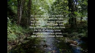 Fountain Of Life And Of Grace