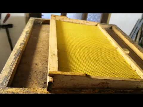 PRAVLJENJE PUNO MATICA 19 01 2020.