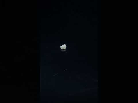 YouTube 썸네일