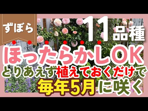 雪の中で咲く花は何ですか?美しい冬に咲く10種  庭園