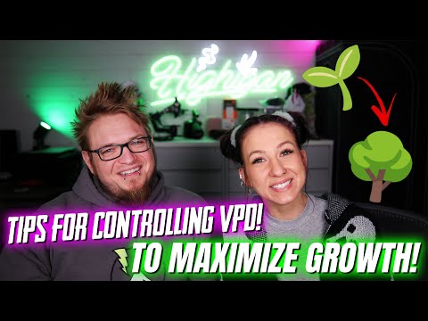 Top Tips To Maximize Growth With VPD!