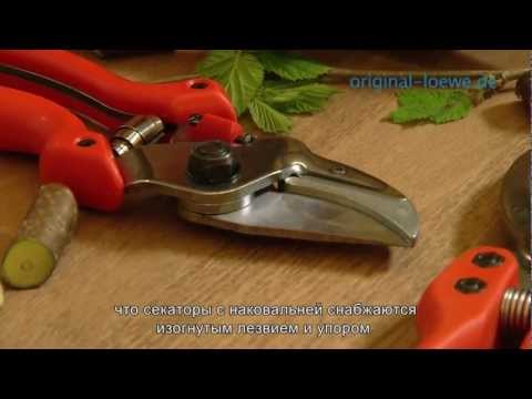 рейтинг сучкорезов садовых 2020. 0. рейтинг сучкорезов садовых 2020 фото. рейтинг сучкорезов садовых 2020-0. картинка рейтинг сучкорезов садовых 2020. картинка 0. Приветствую! Каждый садовод рано или поздно сталкивается с необходимостью подрезки сучков и веток на кустах и деревьях. Помочь в этом могут специальные инструменты, которые так и называются – сучкорезы. В магазинах представлен огромный выбор инструментов такого типа, и чтобы не прогадать с покупкой, стоит отдавать предпочтение качественным моделям. Поэтому я составил ТОП, в который включил 5 лучших садовых сучкорезов, пользующихся большой популярностью среди многих садоводов за свою надежность, эффективность и удобство пользования. рейтинг сучкорезов садовых 2020. 0. рейтинг сучкорезов садовых 2020 фото. рейтинг сучкорезов садовых 2020-0. картинка рейтинг сучкорезов садовых 2020. картинка 0. Приветствую! Каждый садовод рано или поздно сталкивается с необходимостью подрезки сучков и веток на кустах и деревьях. Помочь в этом могут специальные инструменты, которые так и называются – сучкорезы. В магазинах представлен огромный выбор инструментов такого типа, и чтобы не прогадать с покупкой, стоит отдавать предпочтение качественным моделям. Поэтому я составил ТОП, в который включил 5 лучших садовых сучкорезов, пользующихся большой популярностью среди многих садоводов за свою надежность, эффективность и удобство пользования.