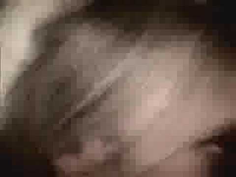 The Decomposers - Black Widow video