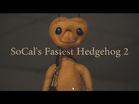 Final Destination Presents: SoCal's Fastest Hedgehog 2