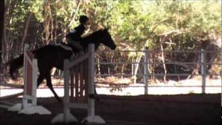 preview picture of video 'Brooke Lanes End November 2010 - first hunter over fences class'