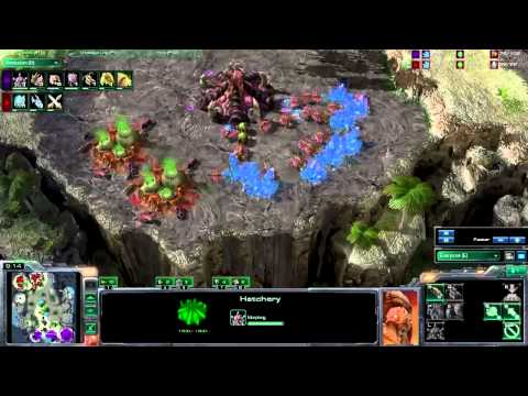 WhiteRa Vs GameOfDrones (TLO)