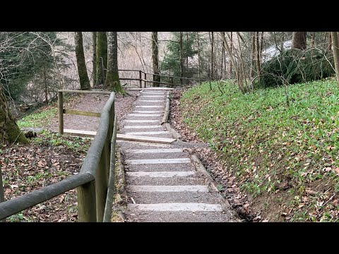 Walk Through Kyburg's Forest | Switzerland | Relaxing Sounds | Tehmina Official Channel