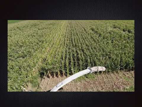 Silage 2018/ trinciatura 2018. by #siloteam