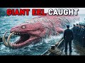 Prehistoric Monster Still Alive — GIANT EEL Found!