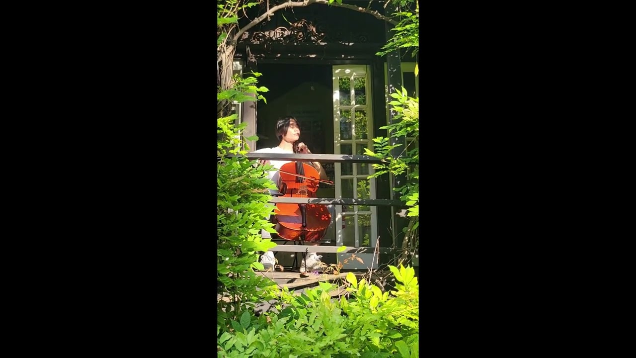 Bach in the trees' house :  J. S. Bach's Cello Suite No.1 in G