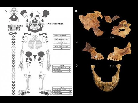 WATOTO WALIOZIKWA WAKIWA HAWANA MIGUU NA MIKONO YAO/ MIAKA 8000 ILIYOPITA INDONESIA.