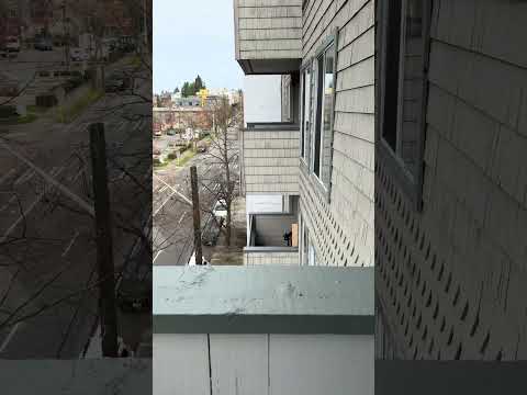 6700 ROOSEVELT APTS. - Video 2 of 2