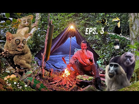 Hari ke 3 Bertahan hidup selama 100 hari di hutan karst terluas ke 2 di dunia.