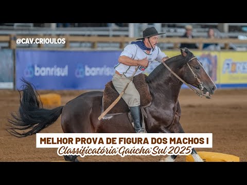 Rincão da Estância Velha • Melhor Prova de Figura dos Machos I na Classificatória Gaúcha Sul 2025