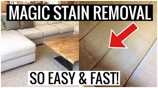 How to REMOVE STAINS and PEE on Couch and Mattress!! (So Easy You Have to Try This) | Andrea Jean