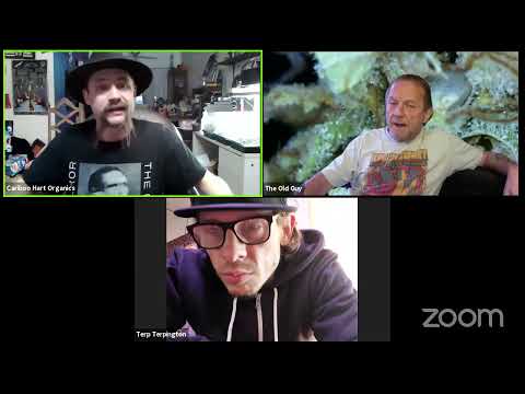 Cariboo Hart TV Live #12 Breeding autoflowers.