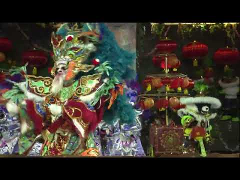 Mummers 2025 Fancy Brigade 05 Shooting Stars