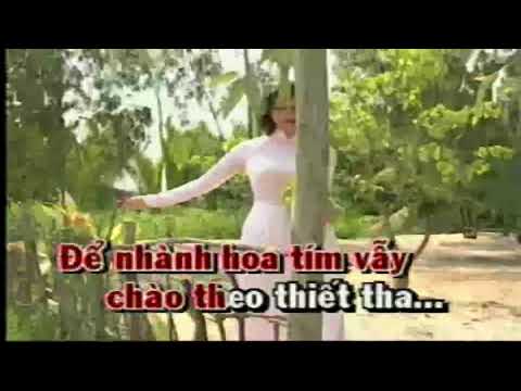 TẠM BIỆT CHIM ÉN  Karaoke
