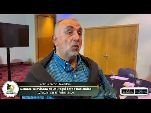 02-06-23 - Atilio Panaccio - Martillero - Remate Televisado de Jáuregui Lorda Haciendas