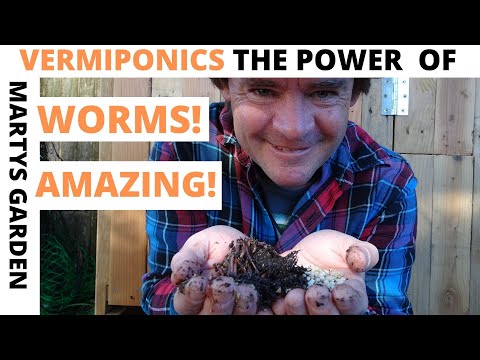 The Power of Vermiponics and Worms Will BLOW YOU AWAY!