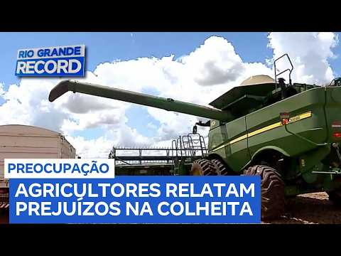 Safra recorde no Brasil, mas produtores do RS enfrentam dificuldades na colheita da soja