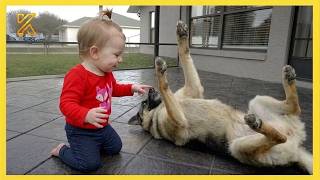 When Your Baby Touches a German Shepherd for the First Time… Nobody Expected This 😍
