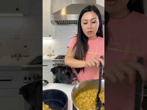 Making Homemade Dog Food for Cooper