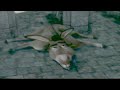 Shrek Donkey 2001 VHS Capture 2