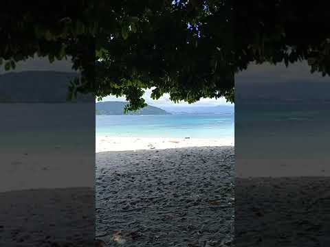 #malaysia #sabah #sapiIsland