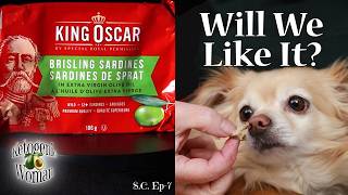 Tinned Fish Taste Test |King Oscar Brisling Sardines Extra Virgin Olive Oil | Sardine Chronicles 007