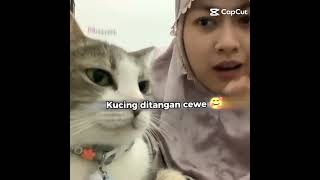 Download lagu #bokep mp3