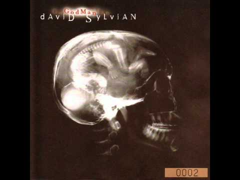 David Sylvian - God Man (Guy Sigsworth Remix)