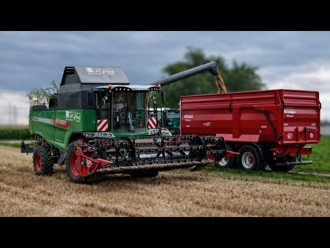Fendt Mähdrescher 5275 C PL und Fendt 620 Vario mit Krampe Big Body 640 im Einsatz