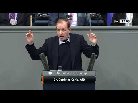 Dr. Gottfried Curio Rede vom 16.01.2020 - Finanzielle Lasten der Migrationspolitik